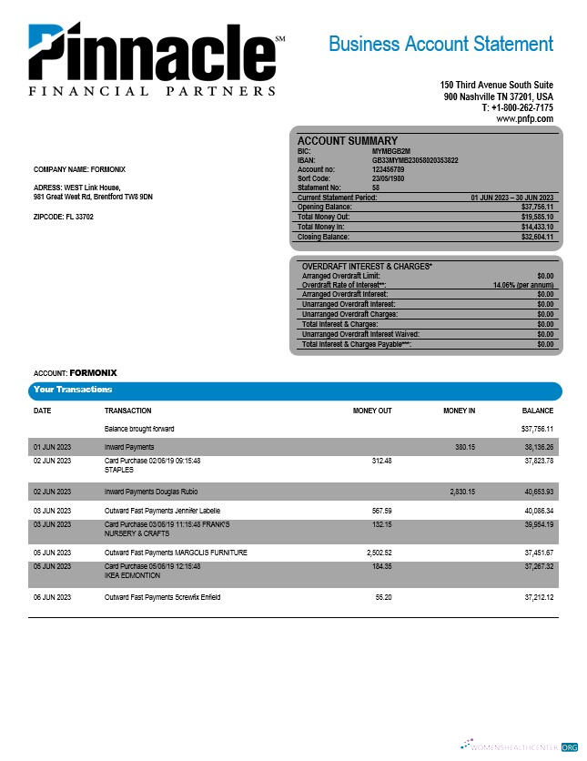 Download Pinnacle Financial Bank firm account statement Word and PDF template Photoshop template